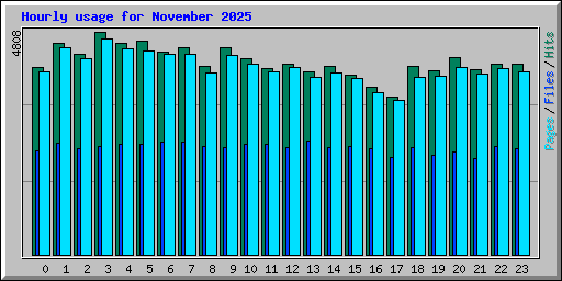 Hourly usage for November 2025