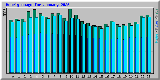 Hourly usage for January 2026