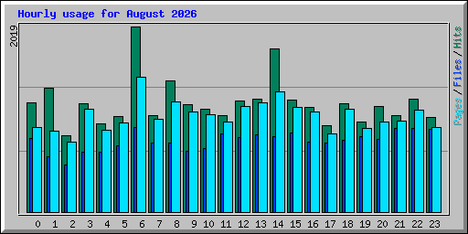Hourly usage for August 2026
